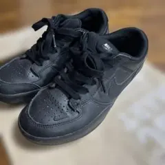 Nike SB ブラック スニーカー