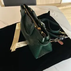 CHARLES & KEITH グリーン ハンドバッグ