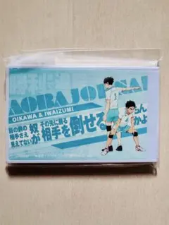 ハイキュー ホワイトミラー 2