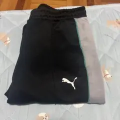 PUMA プーマ メルセデスベンツAMG 上下セットアップ