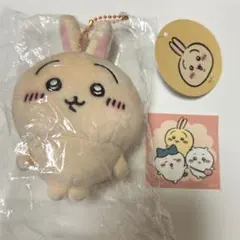 Item thumbnail for item 13c73682-665f-487f-8375-ef1838f37b59