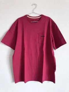 ◆ほぼ新品◆Patagonia パタゴニア / 半袖Tシャツ