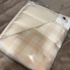 Item thumbnail for item ae1e9068-5646-4d24-a565-0378a1e28896