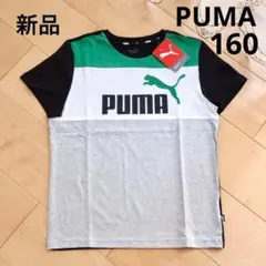 PUMA プーマ　カラーブロック半袖Tシャツ　160　グリーン　新品　コットン