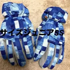 Item thumbnail for item 8b8fa665-b88d-4e07-83b8-0ea0e194c675