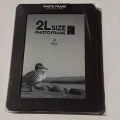 プラザクリエイト　ライトフレーム　2L　ブラック