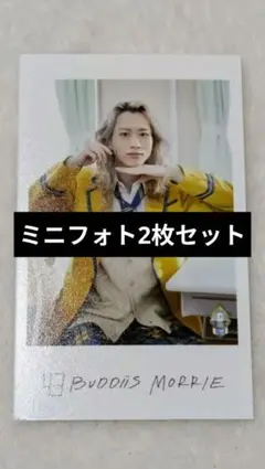 BUDDiiS MORRIE ミニフォト2枚セット (前、左)