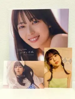 乃木坂46 岩本蓮加 1st写真集 いたずらな風 ポストカード2枚付②