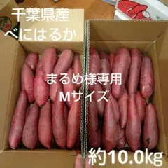 まるめ様専用 　千葉県産　べにはるか　さつまいも　　Mサイズ　約10.0㎏