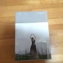 Item thumbnail for item 5384c1c4-7f55-4d80-9e2e-b787fb50d357