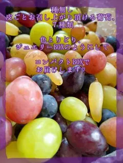マスカット♡ナガノパープル♡富士の輝♡クインニーナ♡箱込１㎏以上♡