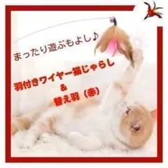 Item thumbnail for item e4c1c7c8-27b1-48ea-85e9-e28934ed0445