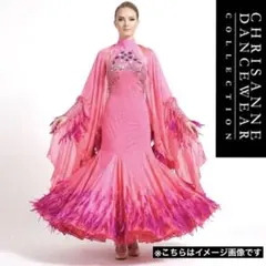 9/6迄】クリスアン 高級 社交ダンス 衣装 モダンドレス フェザー