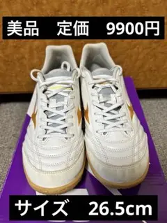 Item thumbnail for item e30424d5-0527-42b1-8393-a8441260d750