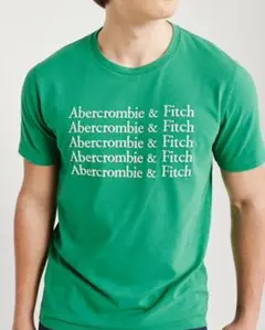 ★新品★アバクロンビー&フィッチ ロゴ刺繍入りTシャツ メンズXS