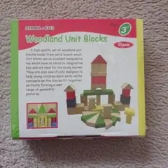 Woodland Unit Blocks 37ピースのサムネイル