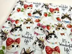 Item thumbnail for item 8cad325e-2dd9-4dac-8f24-4a44060aeb05