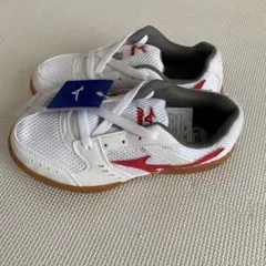 asics 室内シューズ　20.5センチ