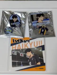 Item thumbnail for item 26aad543-cbed-4a77-9053-9a1ef3c828f1