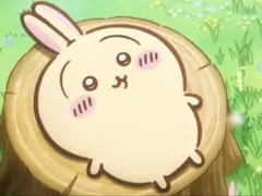 K専用