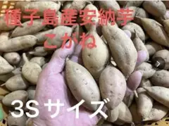 種子島産安納芋こがね3Sサイズ5.2kg入り
