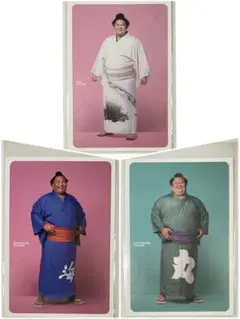 Item thumbnail for item 598c26a0-a19b-4065-bf4b-7d5221f1b5da