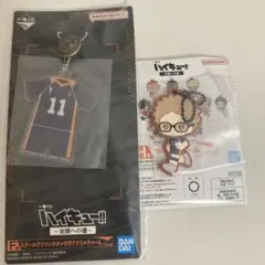 ハイキュー　月島蛍