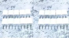 Apple アップル純正　 電源アダプター 充電器　 A1385 20個セット