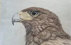 鷲　ウッドバーニング　A4