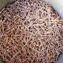 Item thumbnail for item 37699b24-b1e6-4e09-8e2a-2cf9a1f943d9