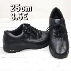 Item thumbnail for item 1e0757da-7ea5-445d-9ff5-a183b67099eb