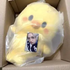 【ポガリ】Straykids スキズ ペンミ バックパック　トレカ有おまけ付