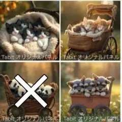 Tabitꕤ︎︎·͜· ︎︎様パネル　みんなでお昼寝アソート（猫・パンダ・シュナ