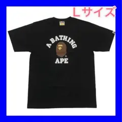 Item thumbnail for item 60da5470-5748-4cd2-ba47-51eb25c13342