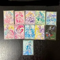 ハトプリ&わんぷりセット プリキュア ウエハース カード ブロッサム マリン
