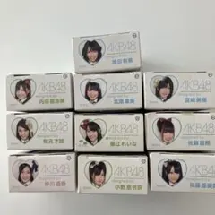 AKB48 ベアブリックストラップ　10個セット