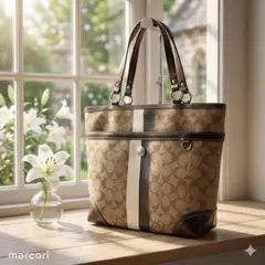 2026年最新】coach コーチ シグネチャーヘリテージストライプの人気