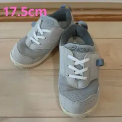 asics 17.5cm スクスク マイセルミニ ライトグレー