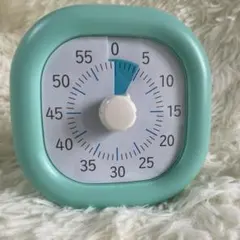 [動作確認済み] ソニック 時っ感タイマー ミントグリーン おまけ乾電池2個