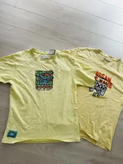 164cm/ZARATシャツ♡MAUIandSons他2点セット