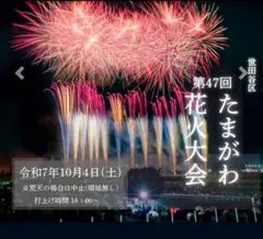 제47회 다마가와 불꽃놀이 축제 좌석석 (4인용)