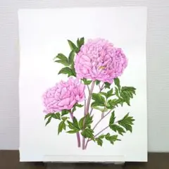 芍薬の花 油彩画 肉筆 原画 額無し - メルカリ