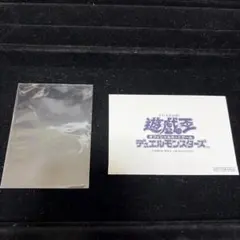 遊戯王‼️封筒完全未開封　WCS2018 2026年最新】遊戯王 wcs 2018 封筒の人気アイテム - メルカリ