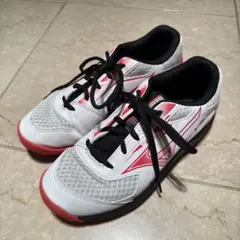 Item thumbnail for item 29b5b5f6-9bd8-4912-bc87-abd1a13b5942