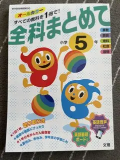 Item thumbnail for item 6c32e7b4-00ae-4aa3-9c9b-f8ea8cfe13b6