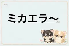 専用