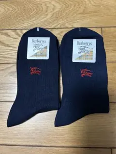 Item thumbnail for item 53d55887-93a4-430f-a859-33b4f3b4ded5