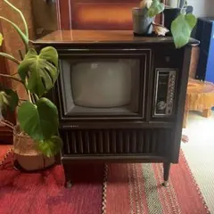 Pana Color TH26-Z15 ブラウン管テレビ - メルカリ