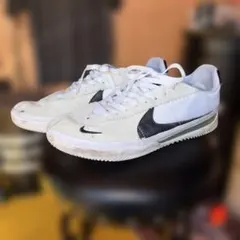 NIKE SBのBRSB 28.0