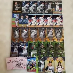 東京ヤクルトスワローズ/プロ野球チップスカードBBMカード